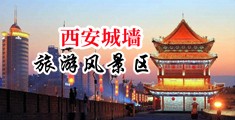 性感黑丝美女秘书操逼视频中国陕西-西安城墙旅游风景区